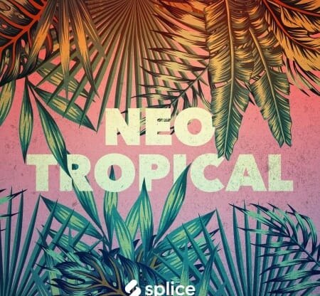 Splice Originals Neo Tropical WAV Synth Presets